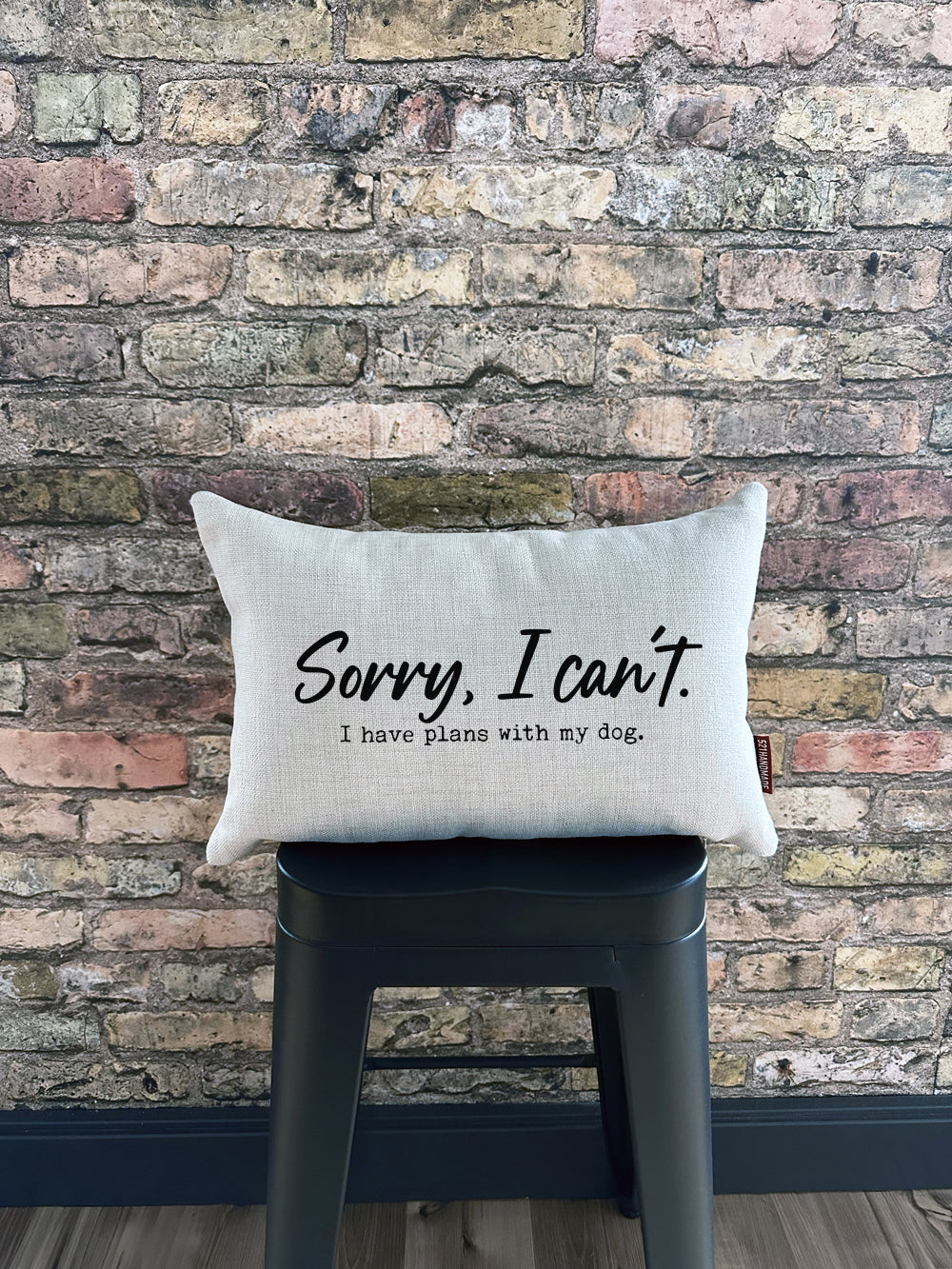 Plans With My Dog Pillow